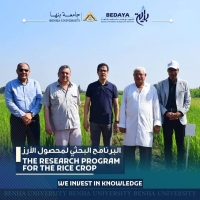 " الجيزاوي": شركة بداية لتسويق خدمات جامعة بنها تقدمت لتسجيل صنفين جديدين للأرز عالى الجودة